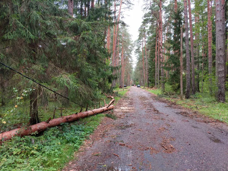 Vaikne tänav.