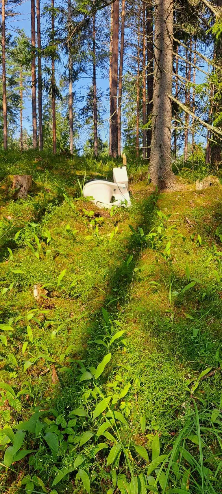 Nädal tagasi leidis Karel metsast vetsupoti.