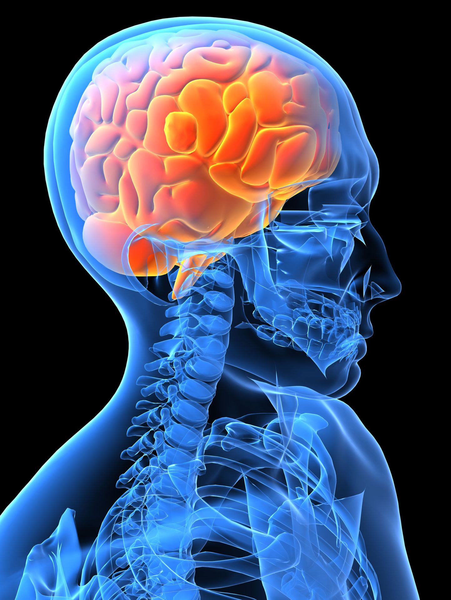 Kirurgid avastasid ajust kasvaja asemel ussi