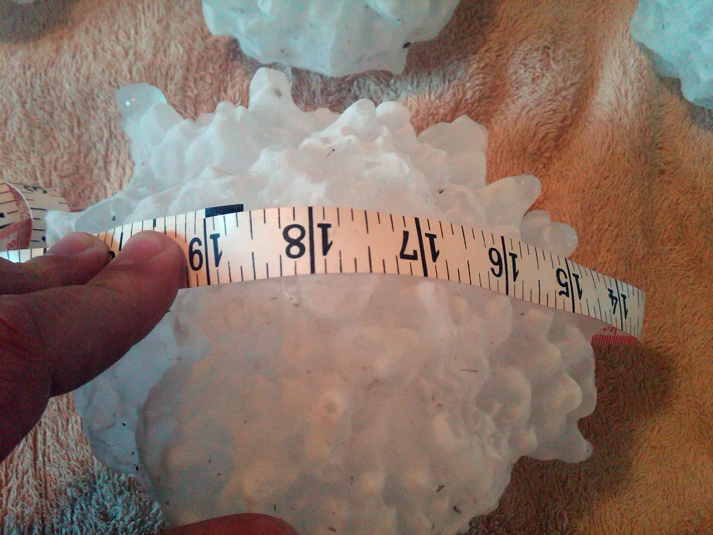 Hiiglaslik rahetera kaalub ligi üks kilogramm.