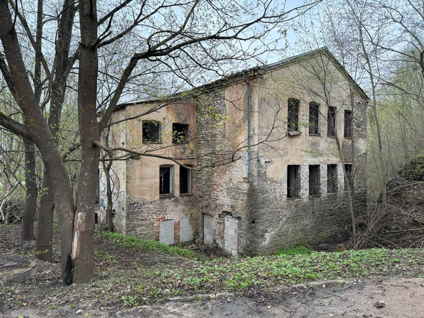 Фото статьи