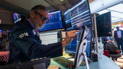 KARL KANGUR JA ROGER STAHLMAN ⟩ Miks turud «lolliks lähevad»? Selgitus peitub karjamõtlemises ja mitmekesisuse kadumises