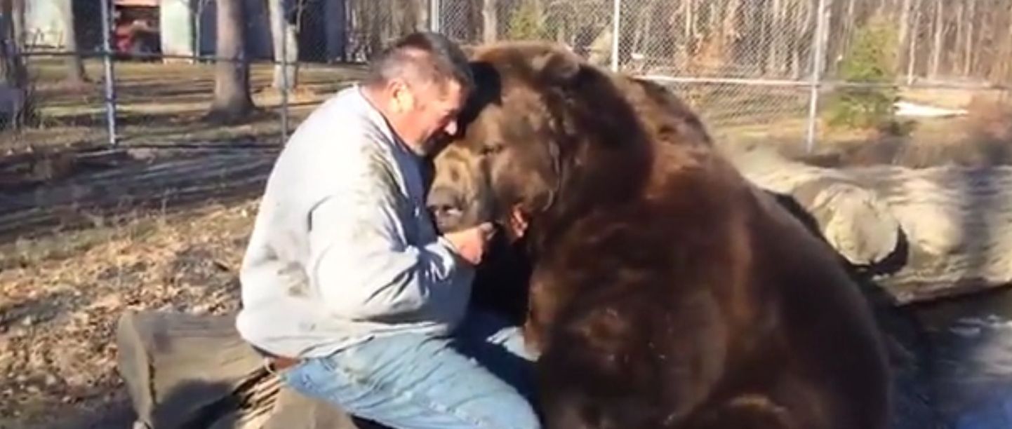 Mees karu kallistamas.
