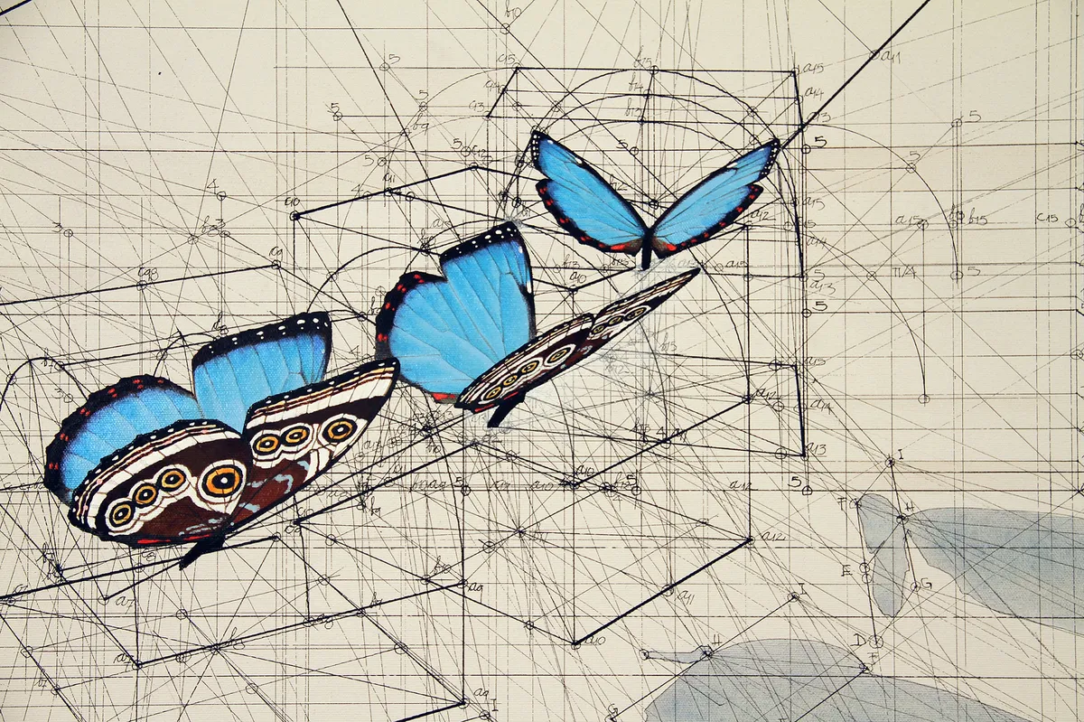 "Morpho-sequence"