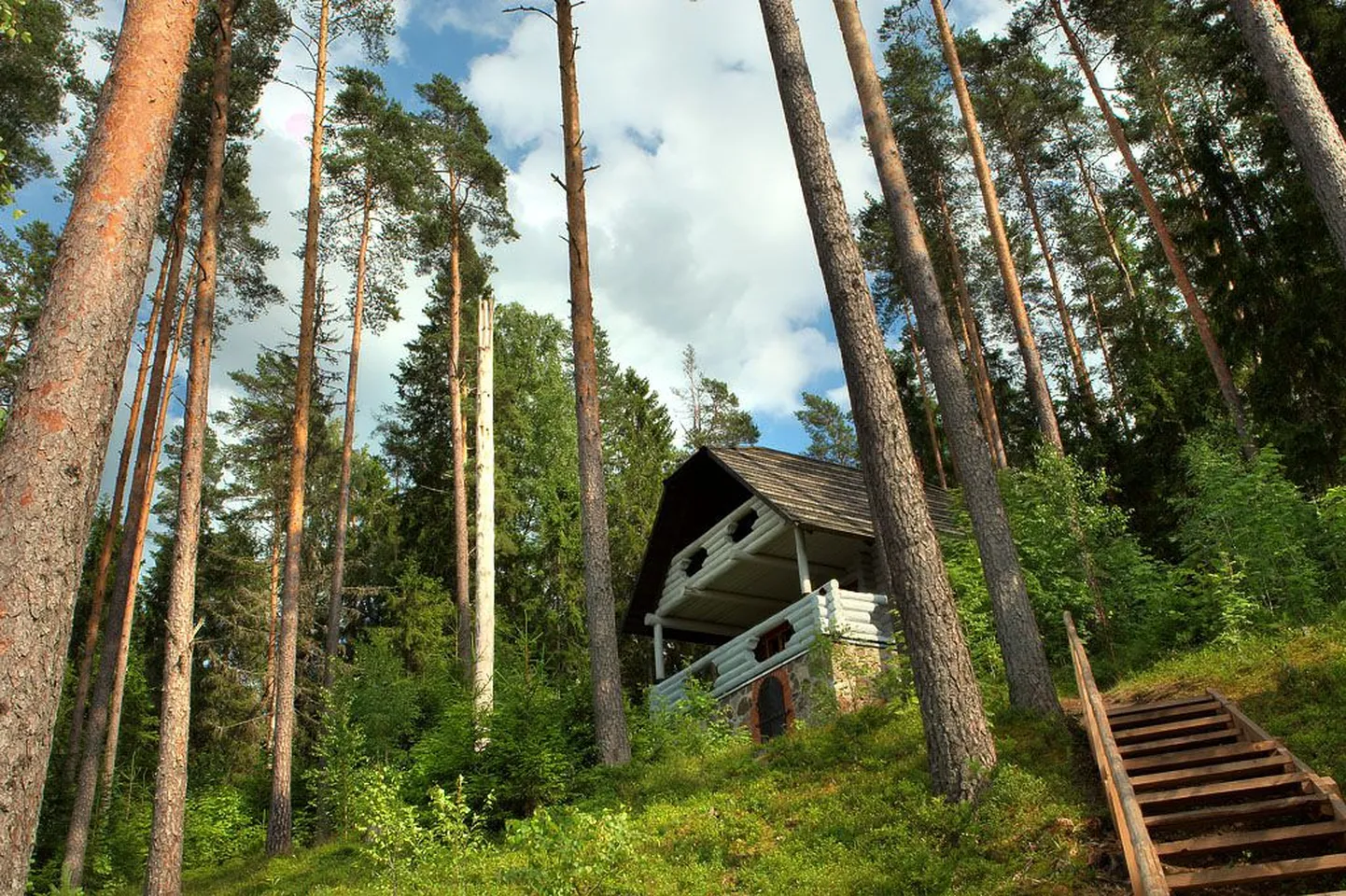 Kooraste metsamaja