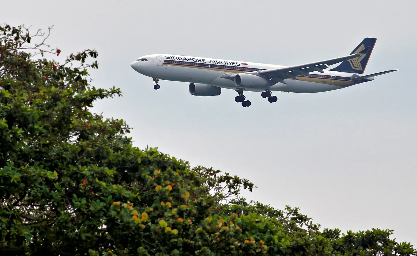 Singapore Airlines