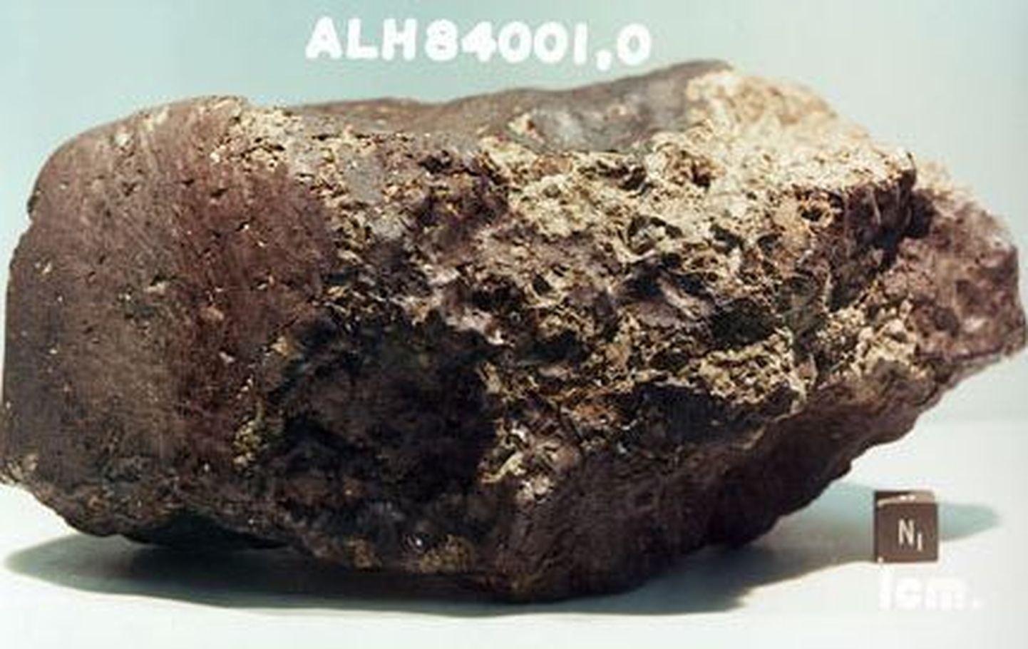 Meteoriit Allan Hills 84001