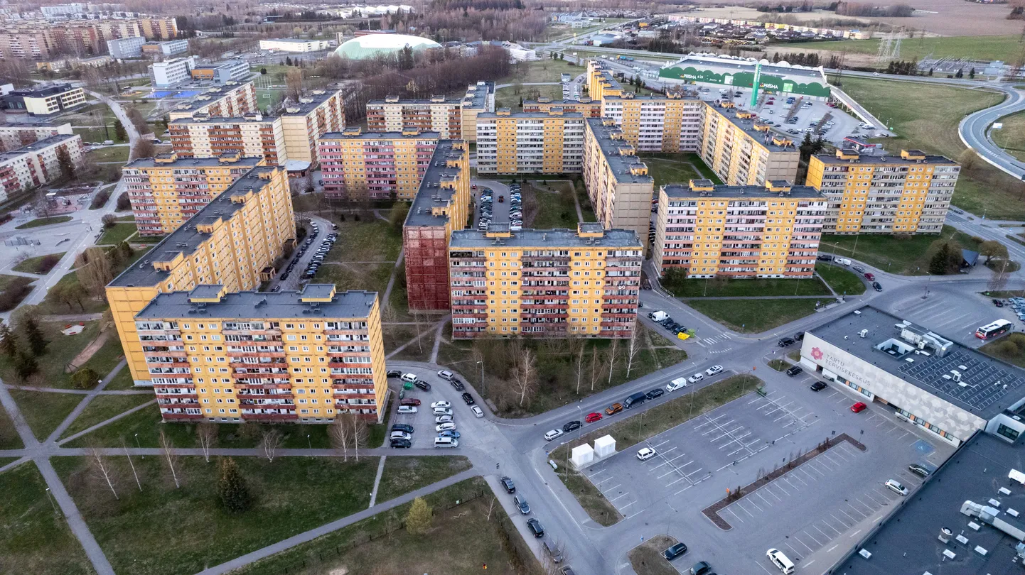 Annelinn Tartus. Foto on illustreeriv.