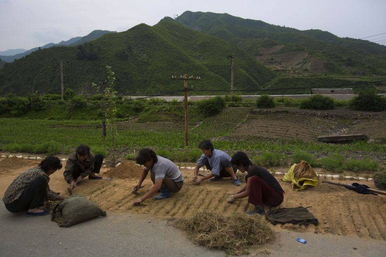 Põhjakorealased töötamas. Foto: Scanpix