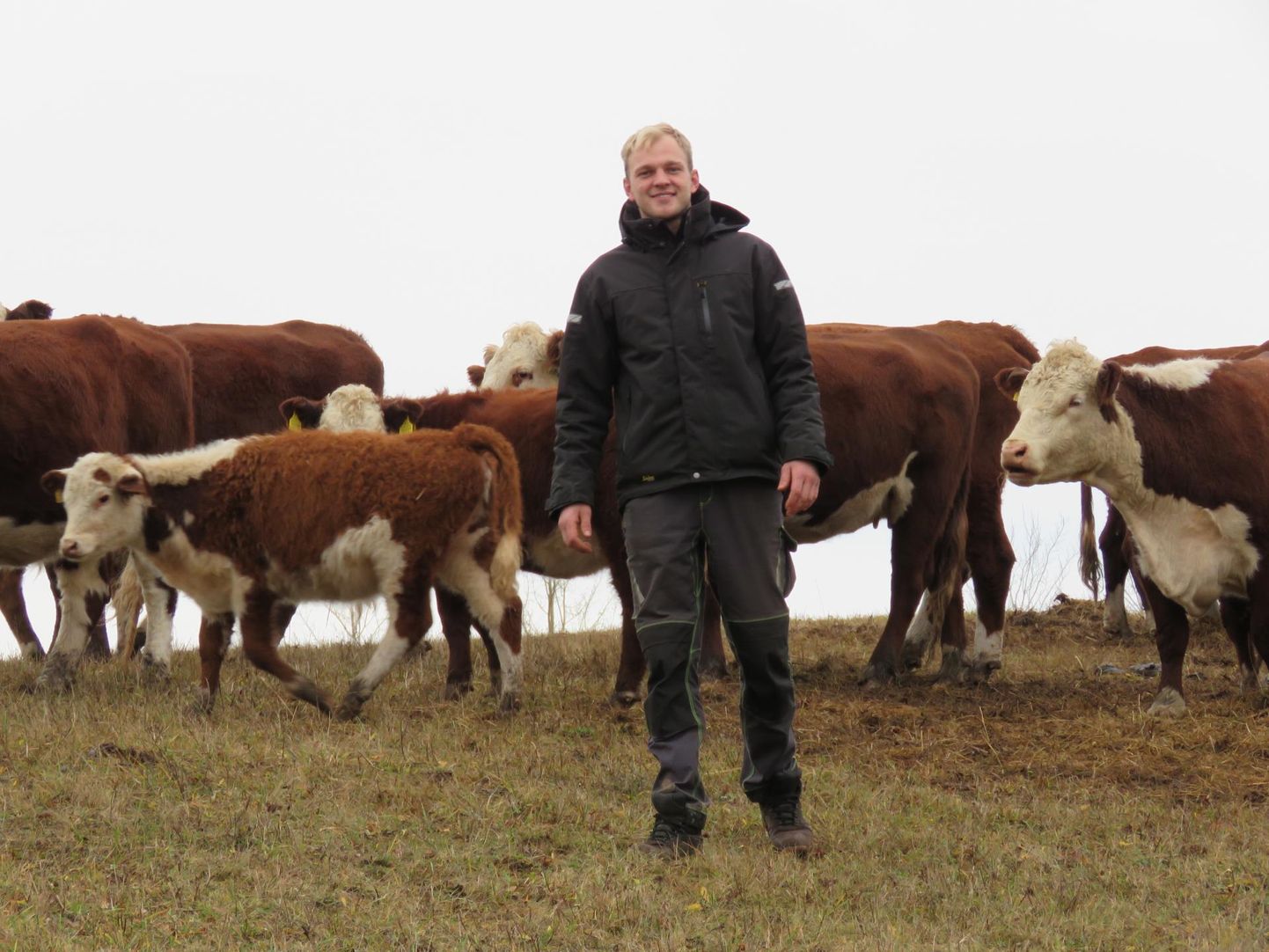 Herefordi tõugu lihavei- seid kasvatav Eesti parim noortalunik Mehis Visnapuu ütleb, et Valgamaa Karula kant on tema jaoks parim, kus elada ja põllumajandusega tegeleda.