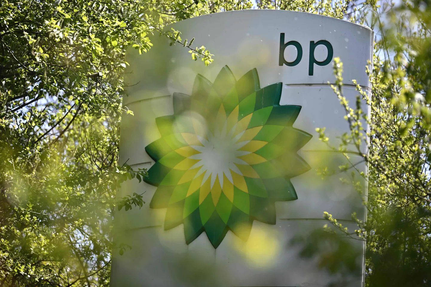 BP (British Petroleum) logo.
