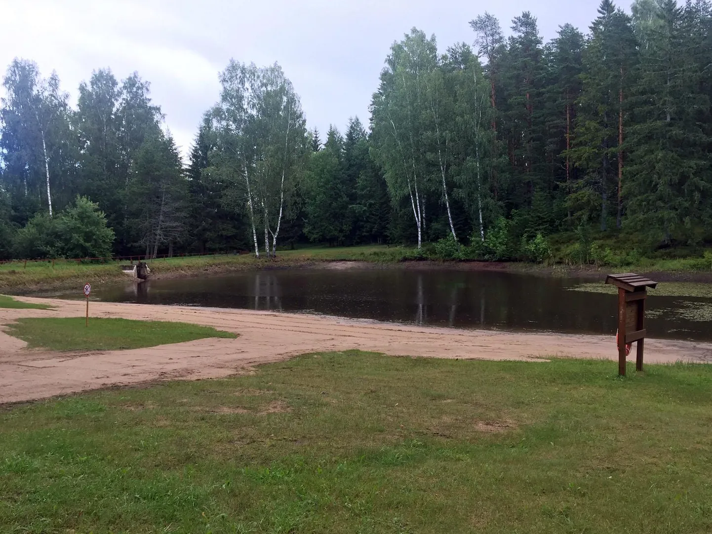 Lavi järve järve supluskoha poolne kallas puhastati taimedest ja settemudast.