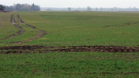 Valdība līdz novembrim Latvijā izsludina ārkārtējo situāciju lauksaimniecībā