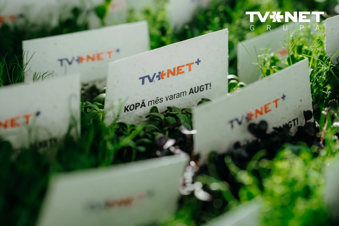 Бизнес-завтрак TVNET+