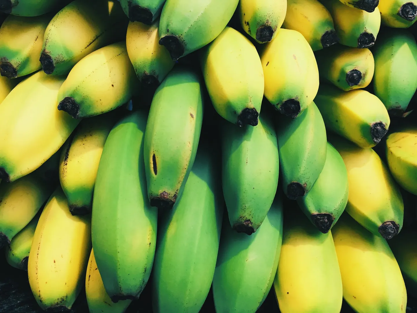 Banaanid.