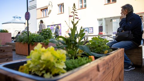 GALERII ⟩ Asfaldiplatsile kerkis teadust täis oaas: Energia Avastuskeskus avas unikaalse teadusaia