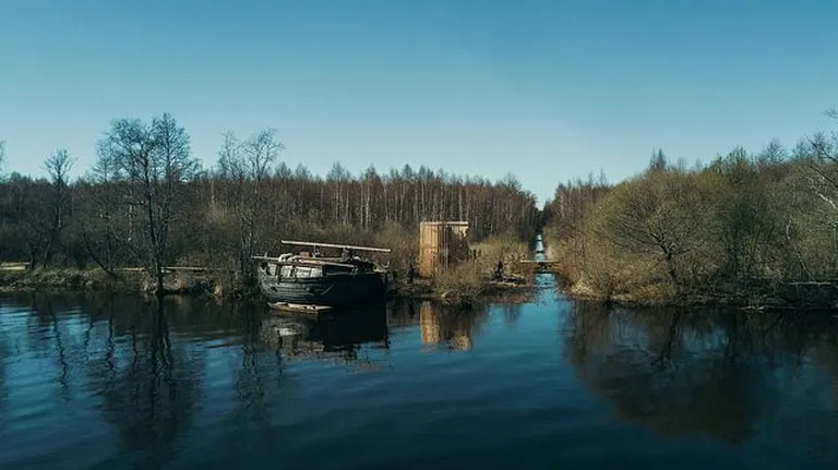 Фото статьи