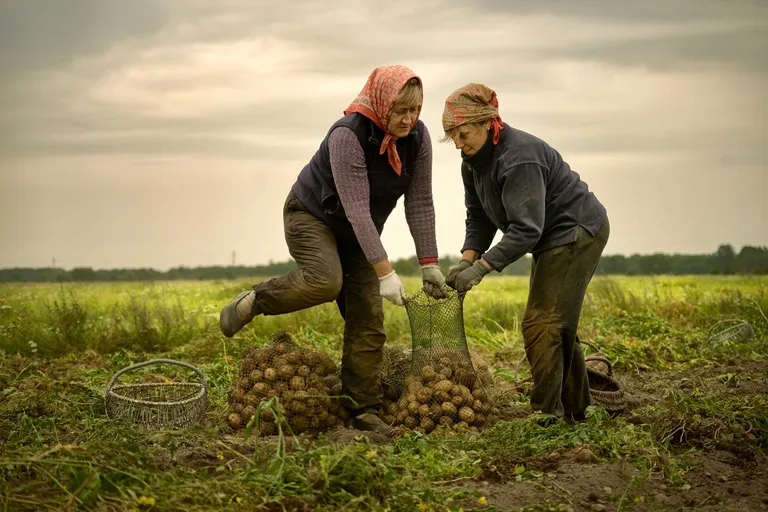 Kihnu. Foto näituselt «Kahekõne: Eesti-Jaapan. Fotod ja ikebana»