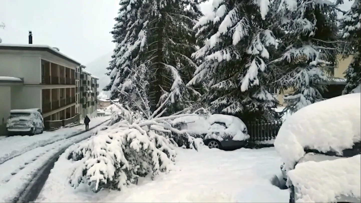 Фото статьи