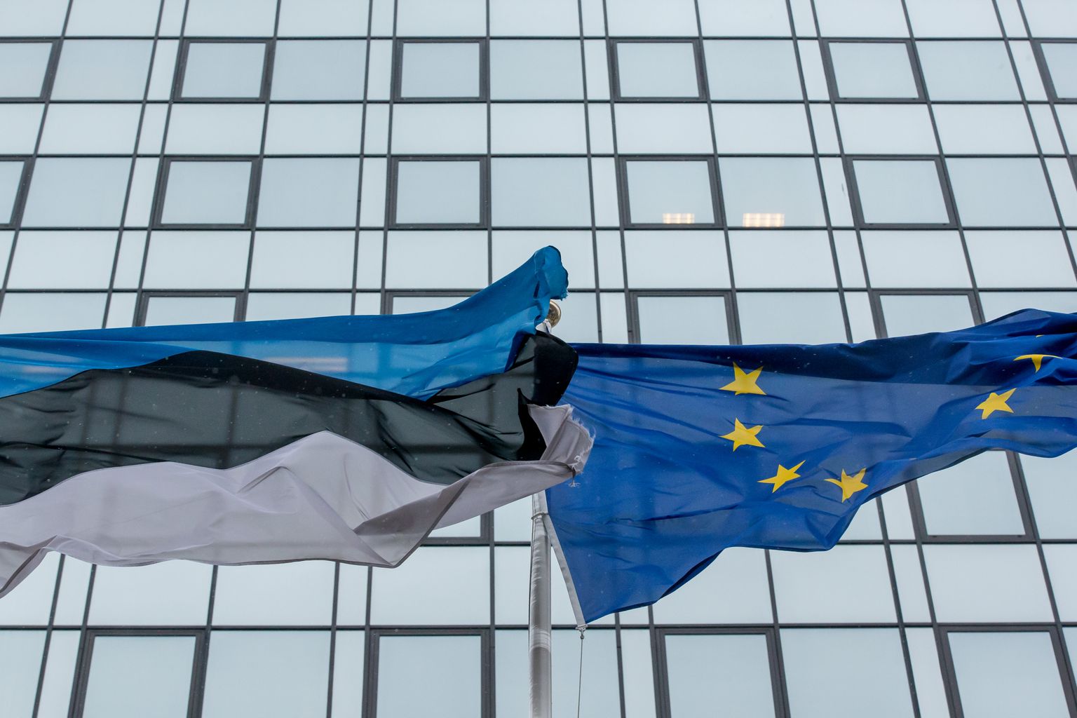 Euroopa Komisjon on Eesti riigieelarve teravdatud tähelepanu alla võtnud.