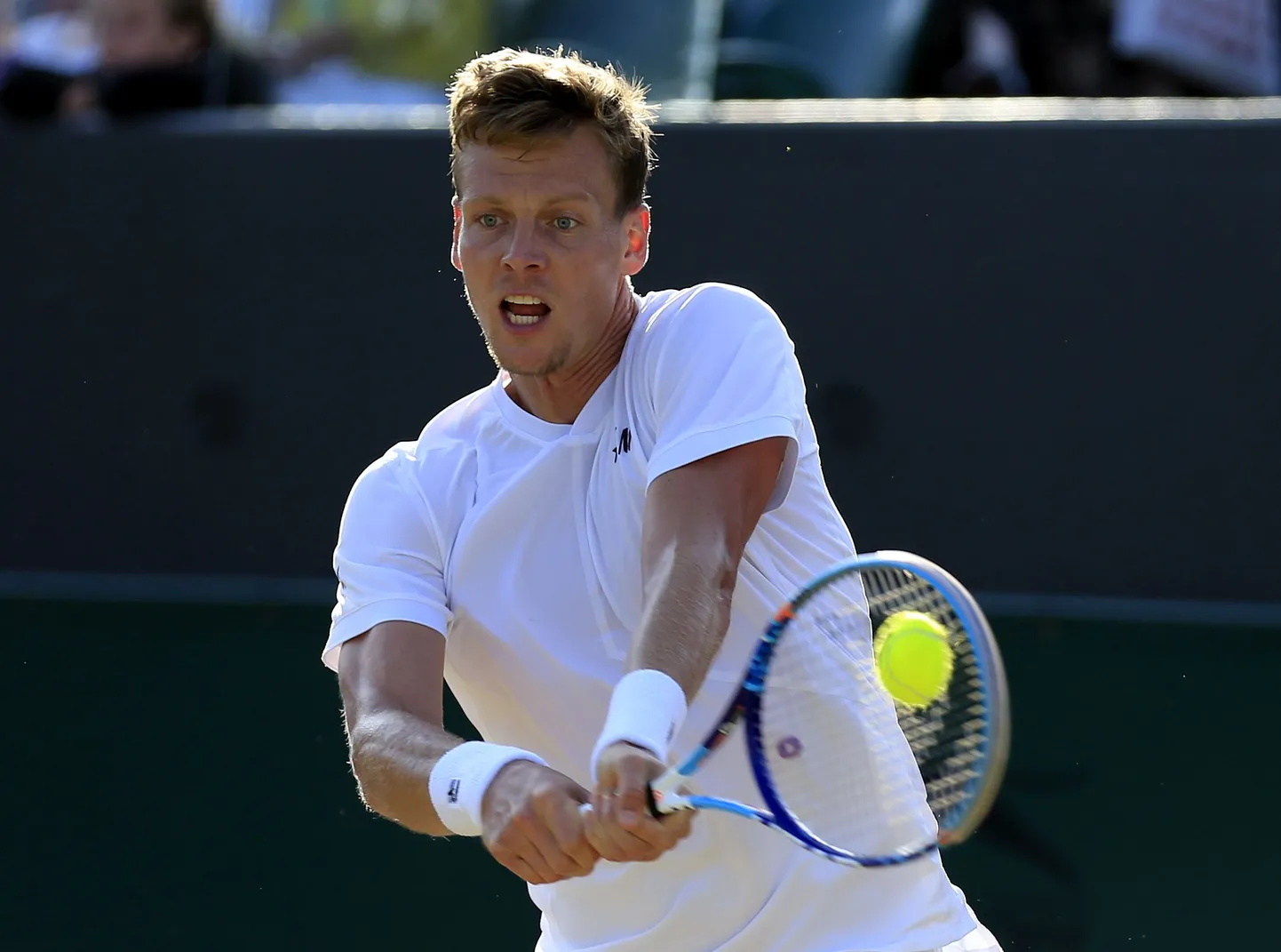 Tomaš Berdych