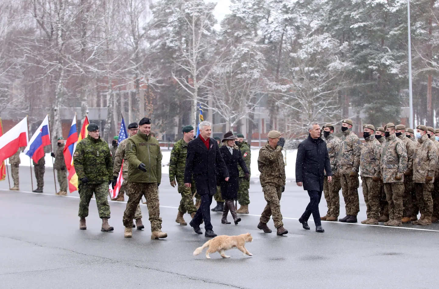 Столтенберг и кот на встрече с военными в Адажи