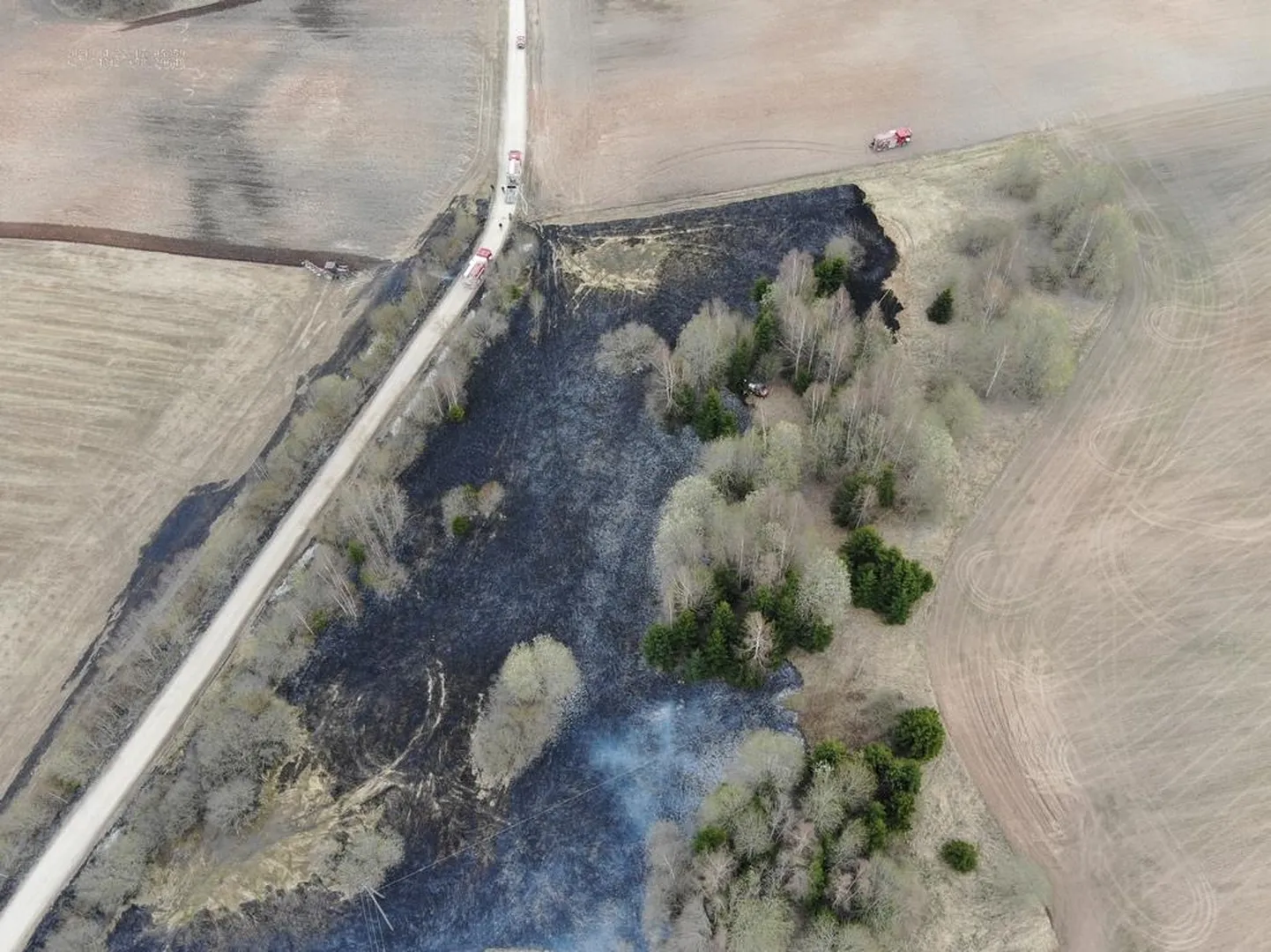 Viljandi vallas Mustapali külas põles kolm hektarit teeäärset kulu ja metsanoorendikku.