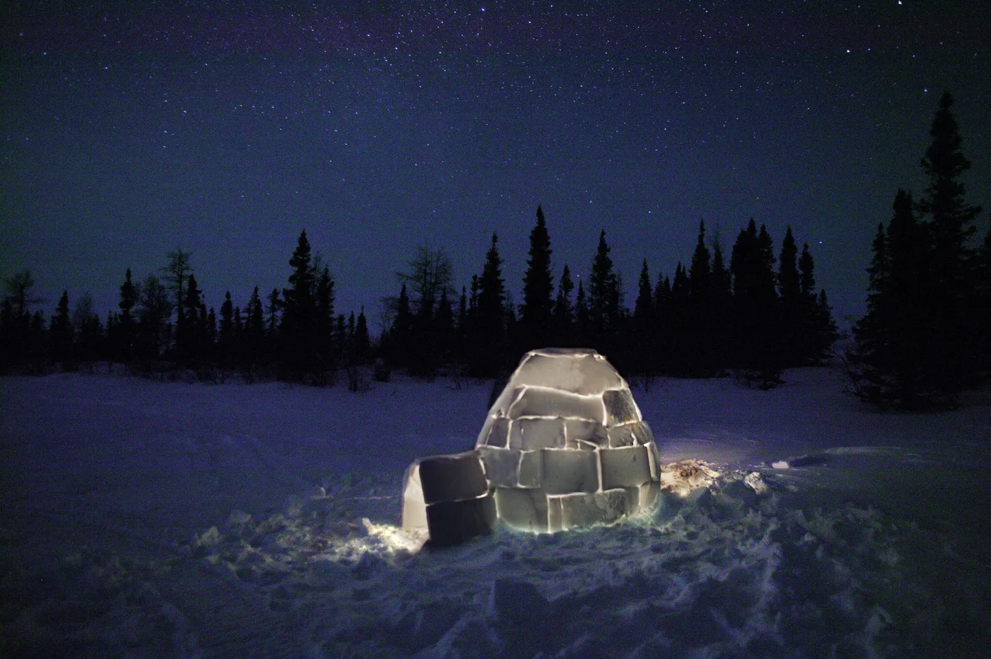 Iglu
