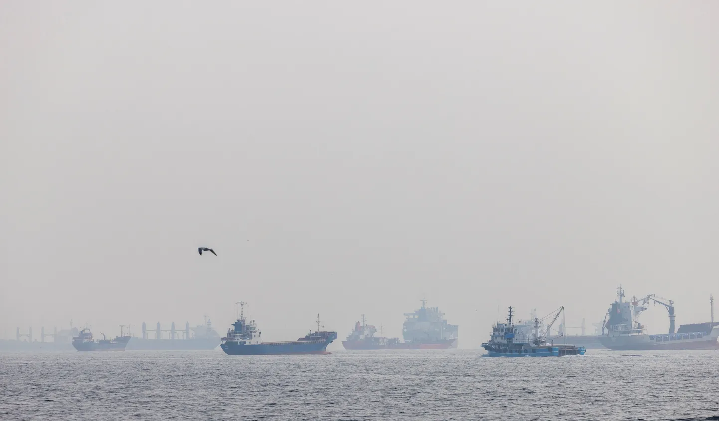 Kaubalaevad, nende seas Ukraina vilja vedavad alused, täna Istanbuli Yenikapı linnaosa kallastel ootamas läbipääsu Bosporuse väinast.
