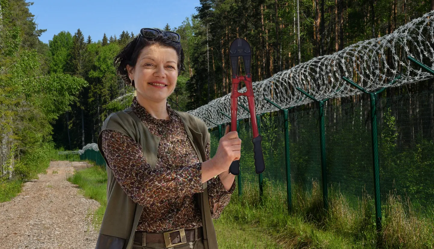 Robežkontroles un valsts drošības eksperte Ieva Raubiško uzrunā Ministru kabinetu.