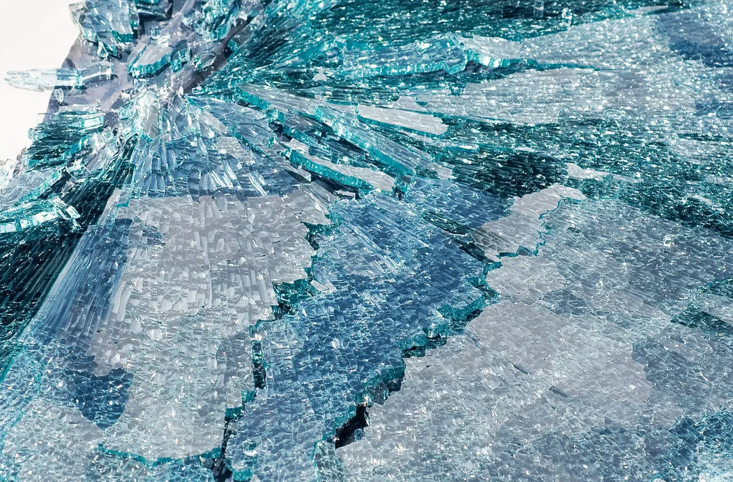 Artikli foto