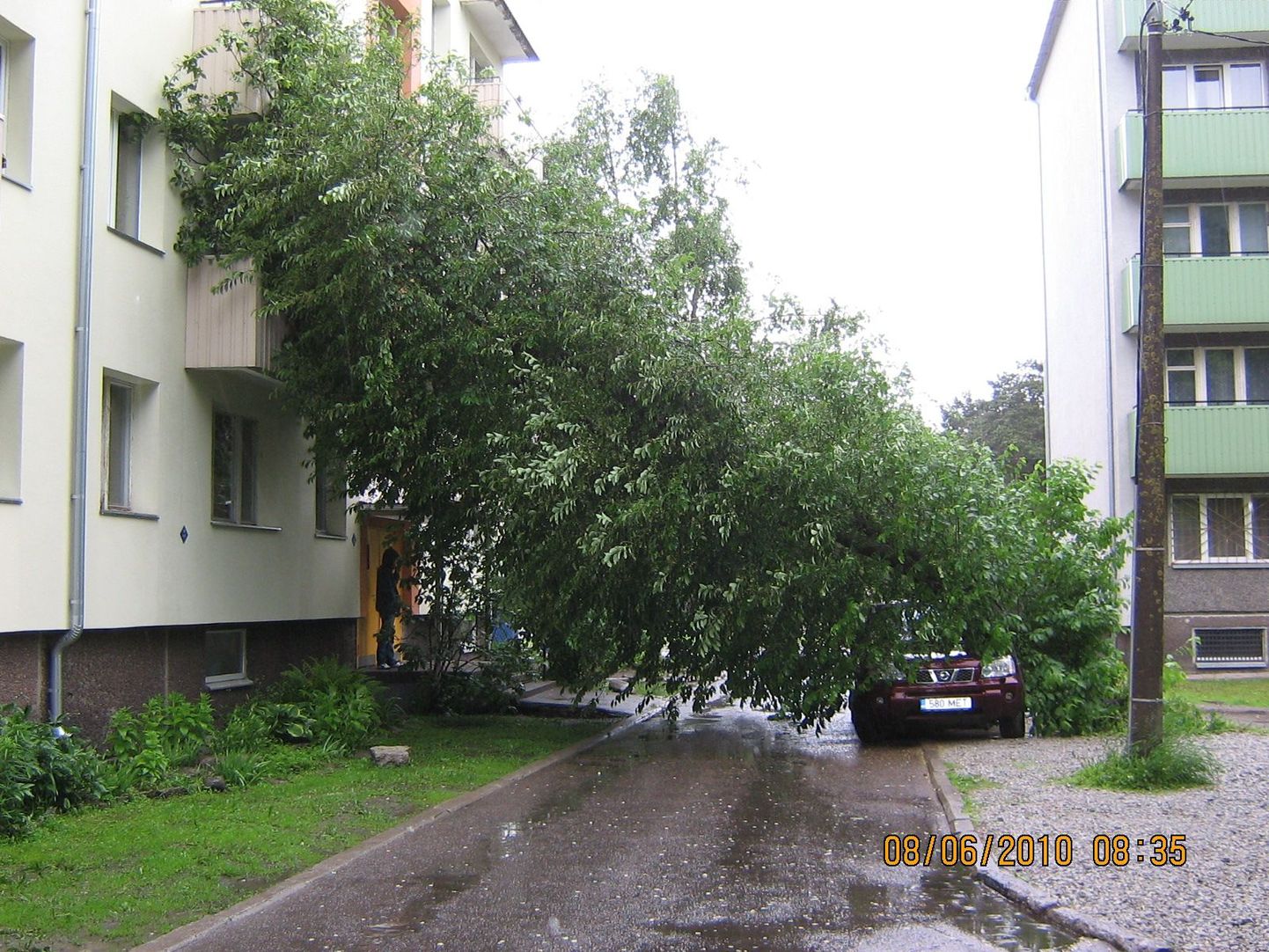 Tallinnas Mustamäel kukkus puu auto ja maja peale.