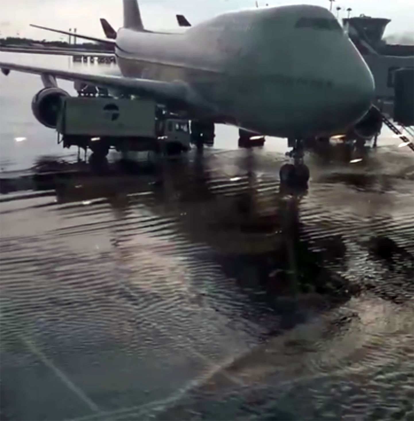 Сильный ливень затопил аэропорт Шереметьево