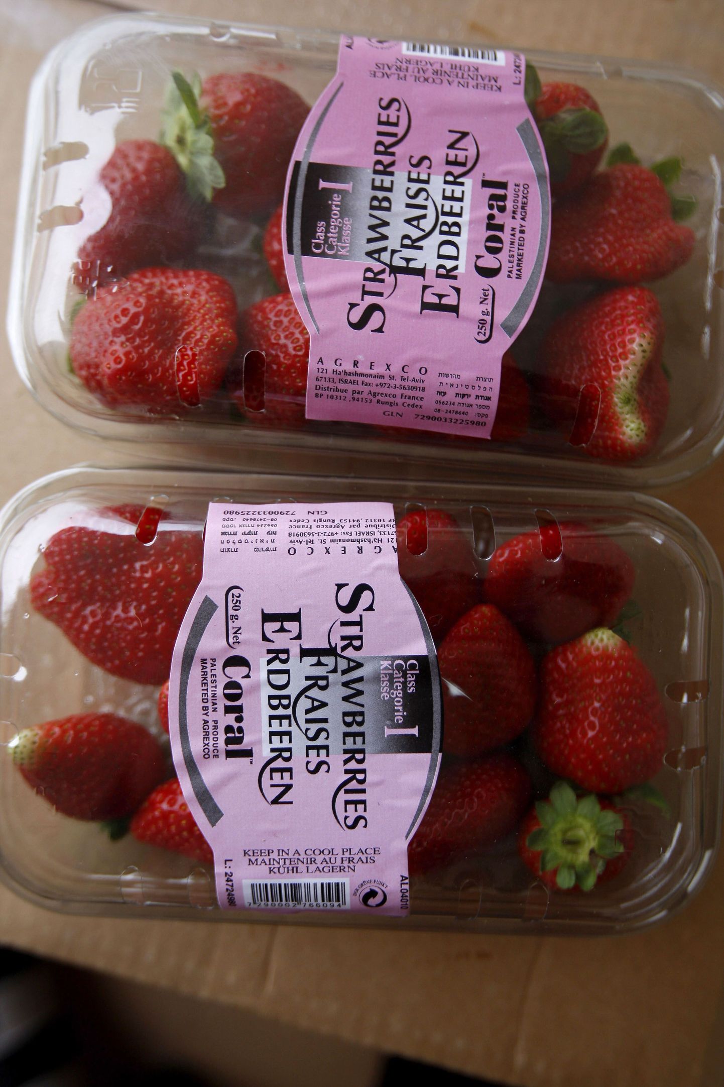 Gaza tsoonis kasvatatud maasikad