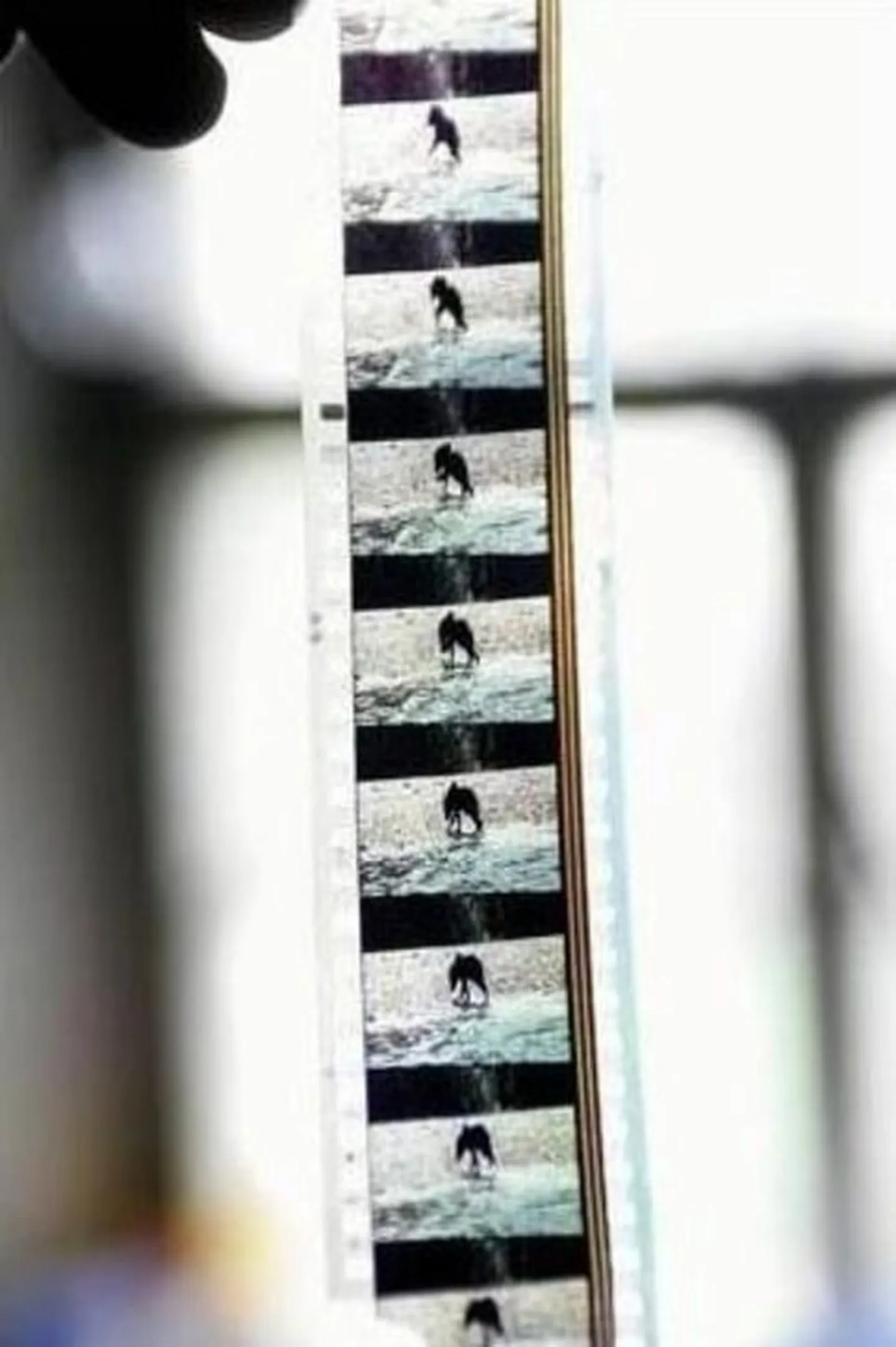 Filmilint.