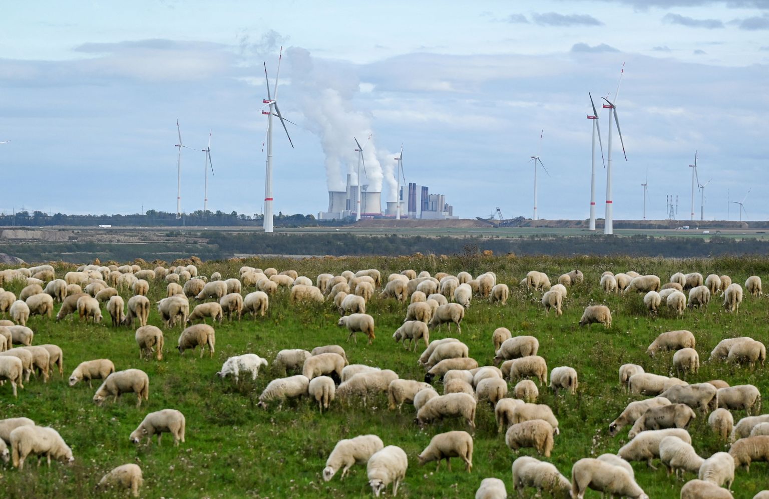 RWE-le kuuluv söeküttel töötav elektrijaam Lääne-Saksamaal. Hoolimata sellest, et ettevõte on oma söest loobumist Saksamaal 2030. aastaks ettepoole lükanud, kaebab ettevõte Hollandi valitsuse kohtusse, kuna nad on sealseid plaane piiranud.