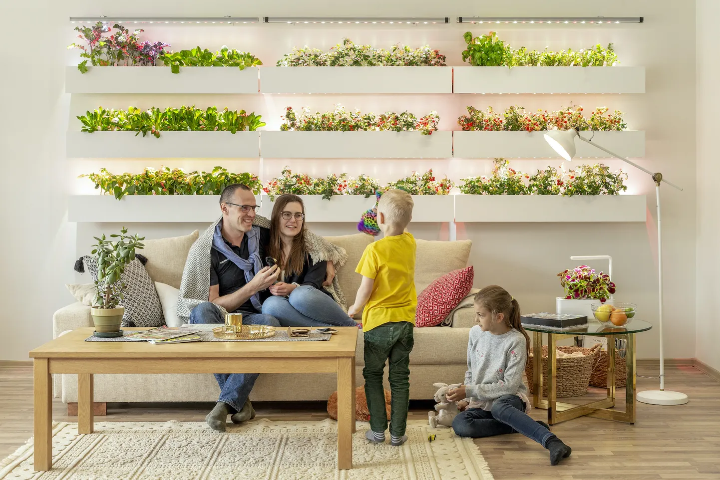 Elutuba 8 ruutmeetri seinapinnaga, kus pere toitu kasvatab.