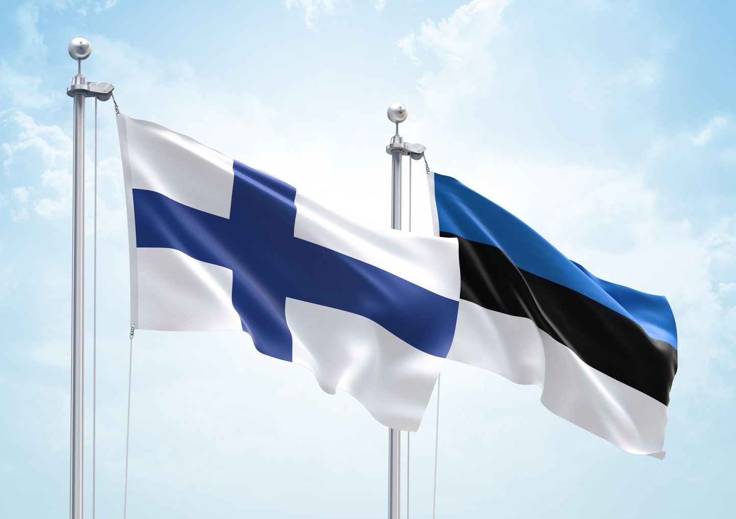Финский и эстонский флаги. Фото иллюстративное.