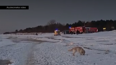 VIDEO ⟩ "Runājiet ar saviem bērniem. Tas bija briesmīgi." Liepāju pāršalc dramatiski notikumi uz ledus