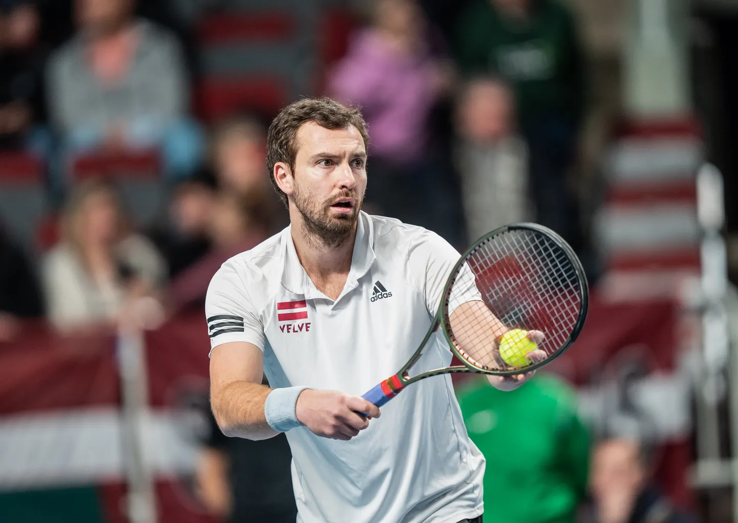 Ernests Gulbis.