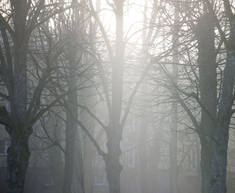 Туман, снимок иллюстративный