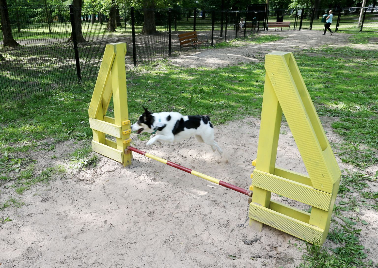 Tähtvere koertepargis saavad suured ja väiksed koerad juba hüpata ja mängida, varsti on see võimalus ka Mõisavahes.