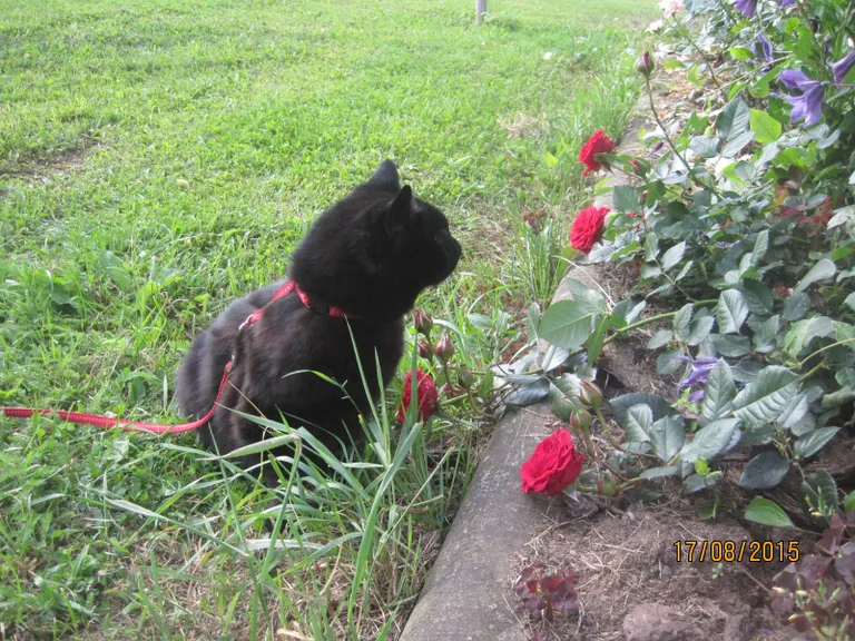 Foto: