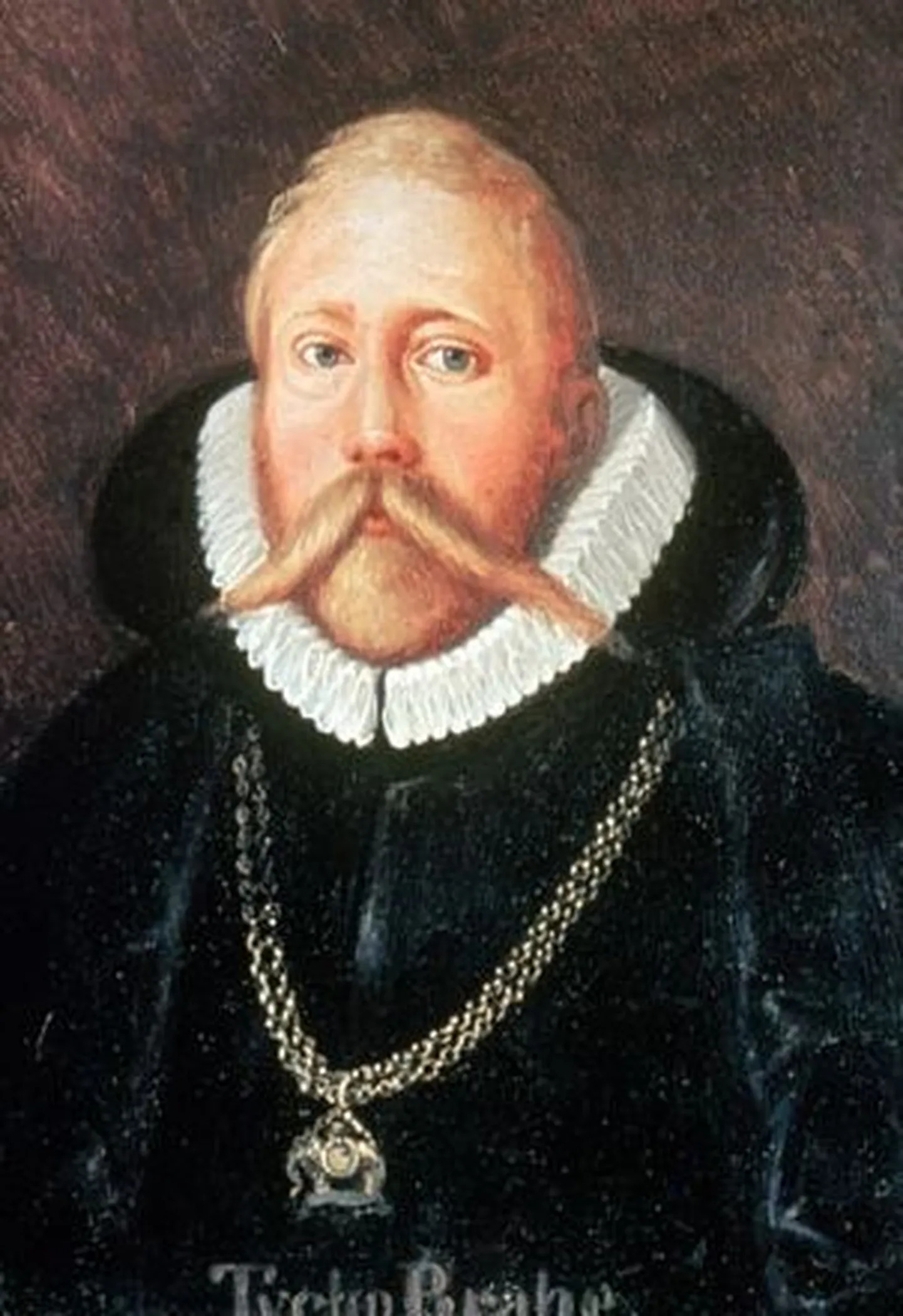 Tycho Brache