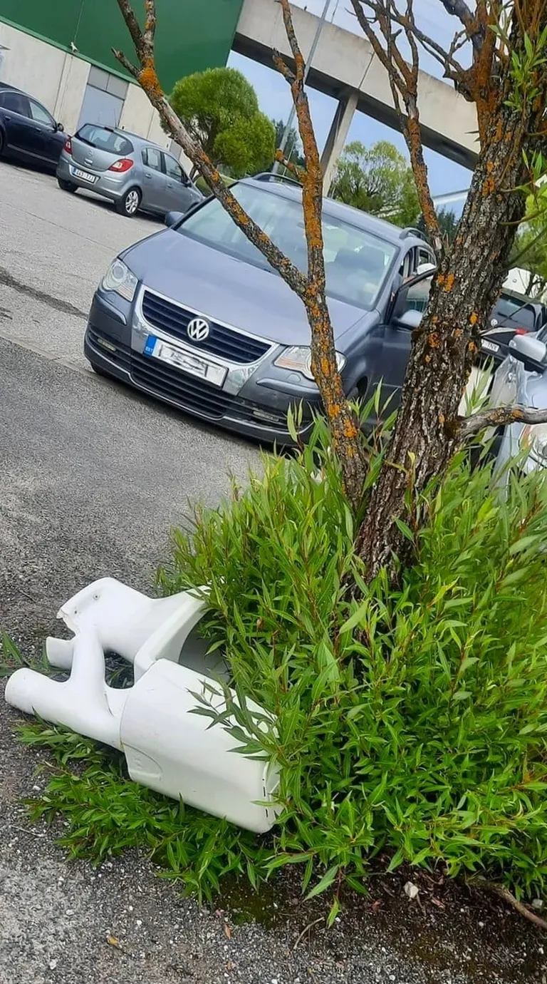 Silmariivav vaatepilt.