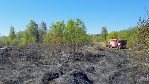 ФОТО ⟩ В Ида-Вирумаа ландшафтный пожар распространился на семь гектаров