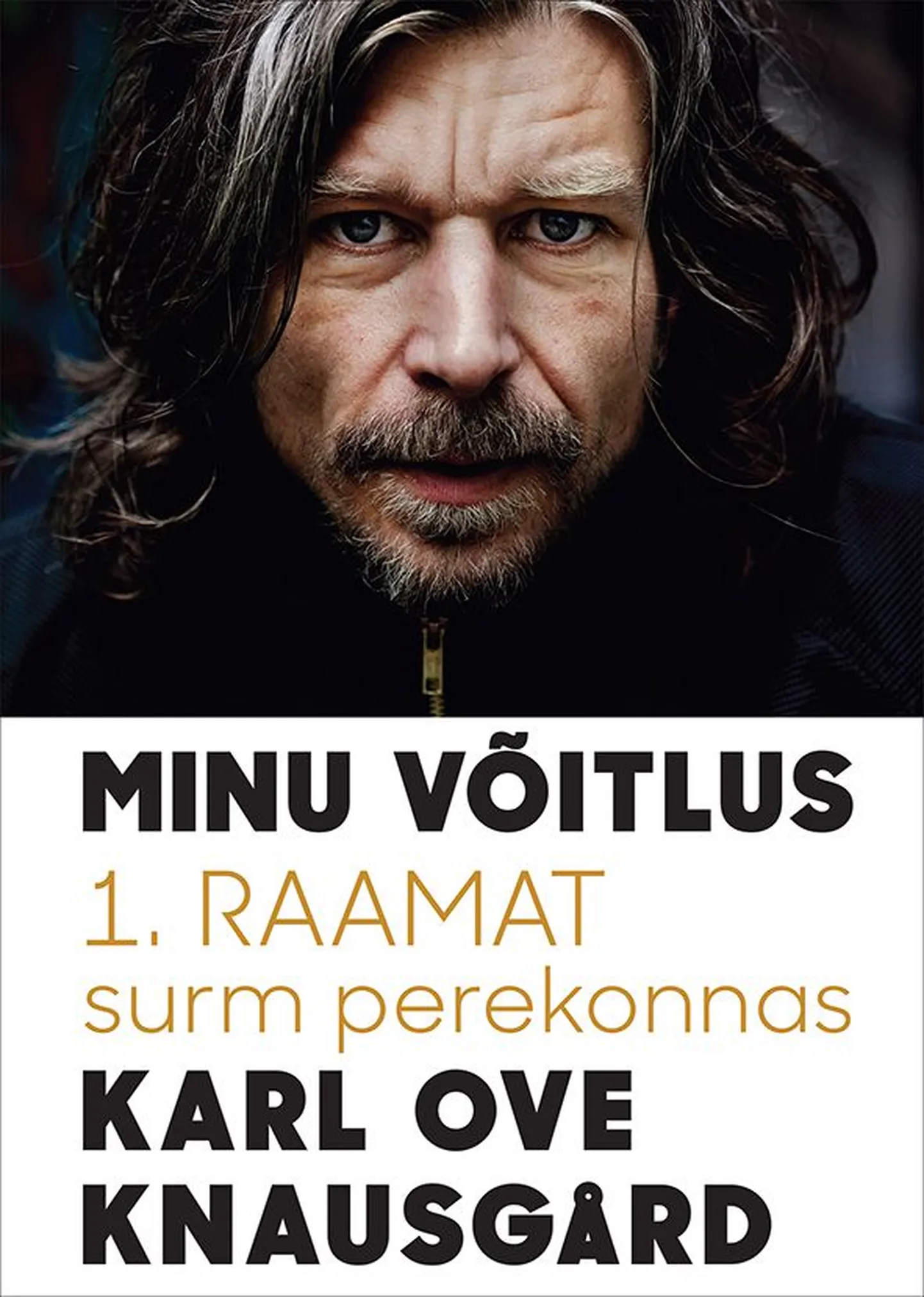 Romaan "Minu võitlus"