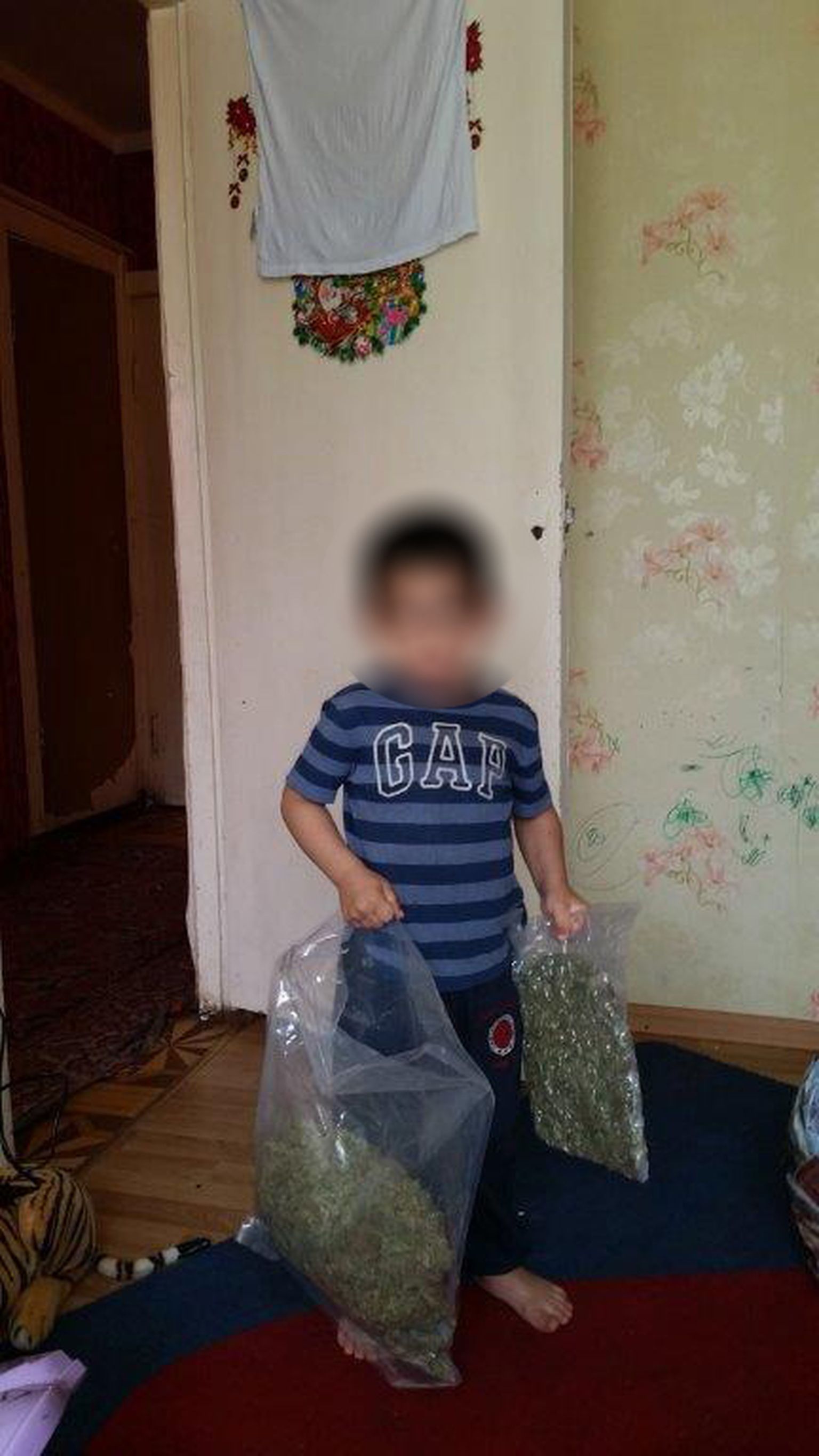Alberts Burkevici ja Izaura Burkevica fotojäädvustus nende 3-aastasest lapsest, kes poseerib suurte kanepikottidega.