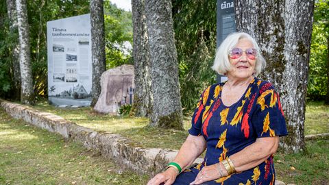 Vabatahtlik pesi puhtaks linna mälestuskivi