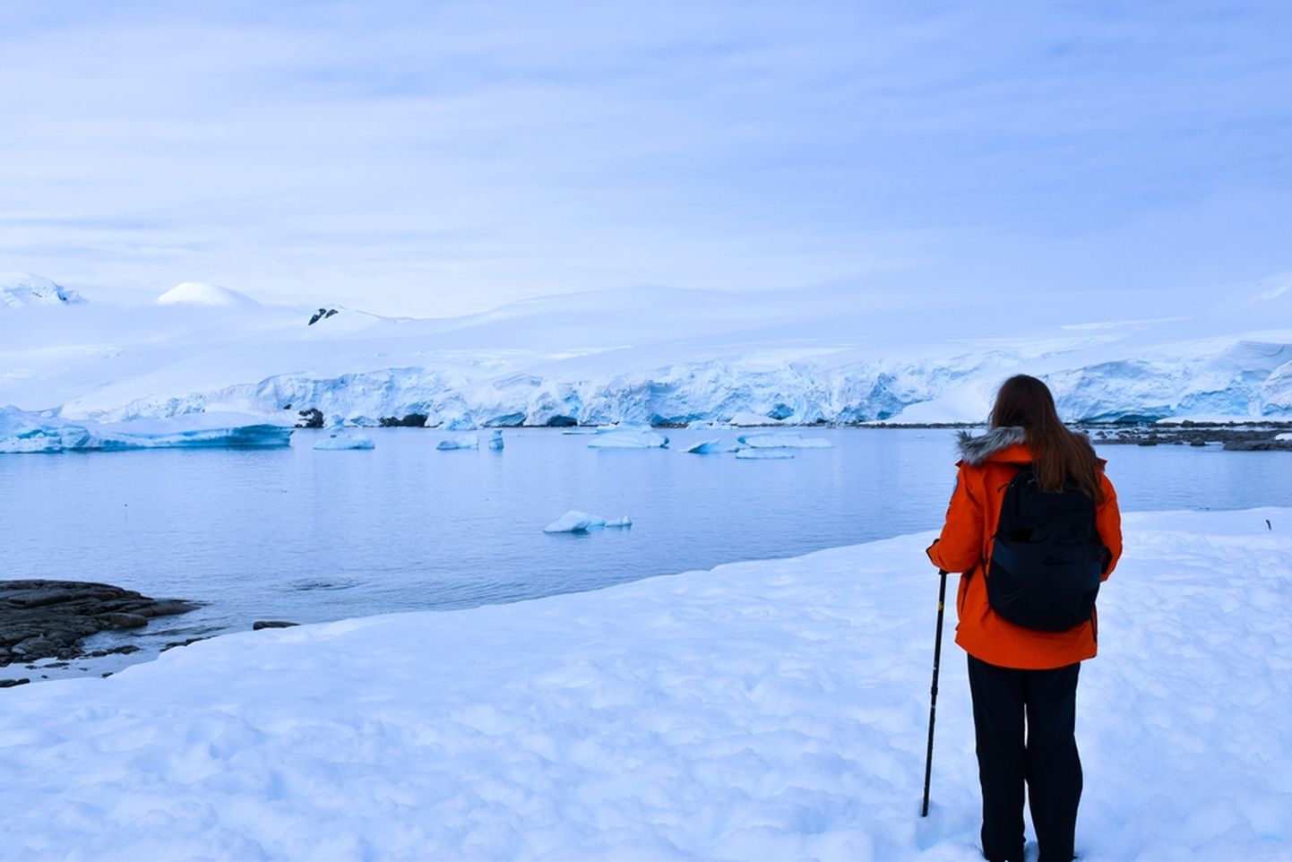 Туризм в Антарктиде. Снимок иллюстративный.